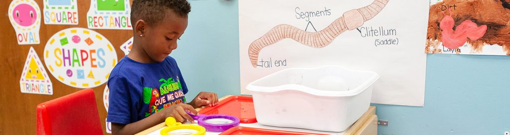 student with worm investigation